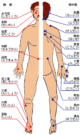 とやま健康パーク 健康ポケットカード