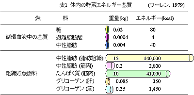 \1  ̓̒GlM[