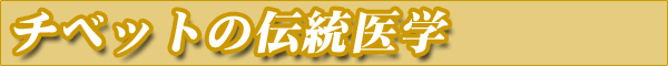 `xbg̓`w